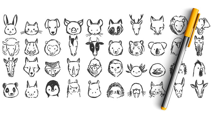 Animals doodle set. Collection of pencil pen ikn hand drawn sketches templates patterns of elephant monkey cat dog lion horse chicken muzzles isolated in line. Wildlife illustration.