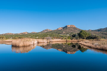 Reflections in a lake at Ostriconi in Corsica