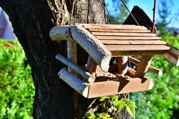 bird house in the forest