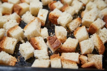 Square toasted pieces of homemade delicious rusk, hardtack, Dryasdust, zwieback on a baking sheet.