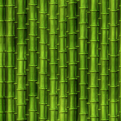 Bamboo background. Seamless bamboo backdrop. Bamboo forest pattern.