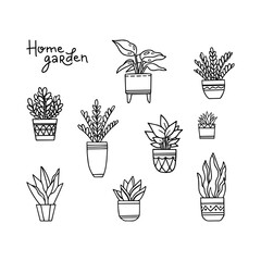 Big set of hand-drawn vector house plants in pots. Outline art elements with lettering home garden isolated on white background. Botanical design for logo, poster, pattern or print. 