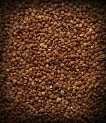 Buckwheat for the whole background.