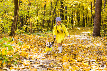 Child plays with Jack Russell Terrier in autumn forest. Autumn walk with a dog, children and pet concept.