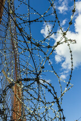 Rummu quarry prisson hamatis filum