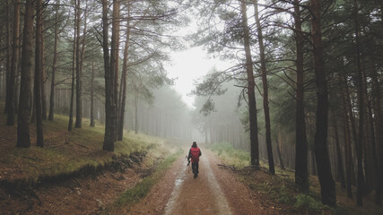 Hombre de espaldas practicando senderismo en un camino de un bosque un día de niebla