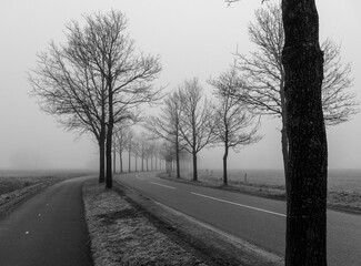 black and white morning