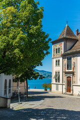 Place d'un village avec un arbre et une façade d'une église peinte devant un lac bleu par une journée ensoleillée et un ciel bleu uniforme, à Rapperswil en Suisse l'été