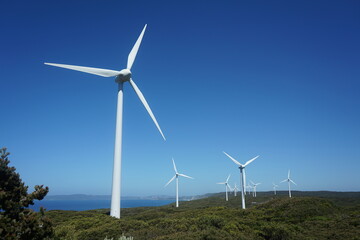 wind turbine in the field