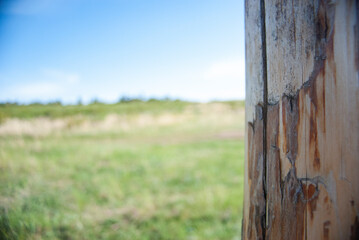 old wooden fence, bokeh, nature