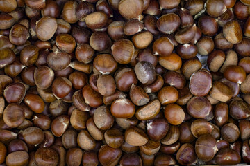 Castanea sativa fruit close-up top view, backdrop banner background. Edible beech tree chestnut