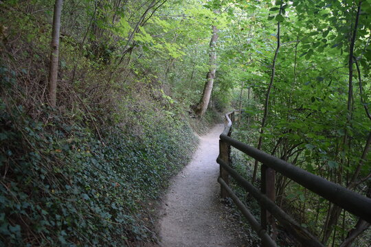Der Weg