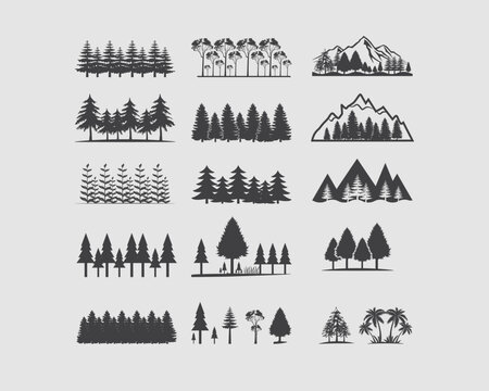 Forest Vector, Forest Bundle, Forest, Mountain Forest, USA Forest