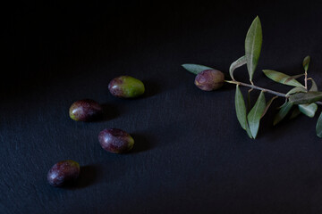 Olives and olive branch, on black slate