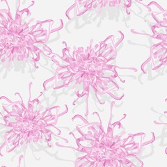 Fototapeta na wymiar Seamless pattern of hand drawn bright pink chrysanthemums with green leaves in Japanese graphic style.