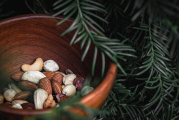 Nuts on a wooden background in a plate. Various types of nuts such as hazelnuts, almonds, walnuts and pistachios lie in a plate among the tree branches. Top view