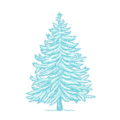 Christmas tree. Conifer. Blue spruce. Frosty winter snow. New year fir-tree postcard background. Hand drawn contour vector sketch.