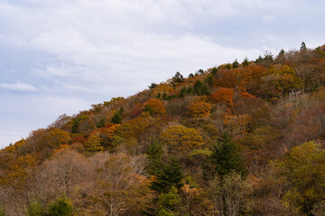 茶臼山の紅葉と空