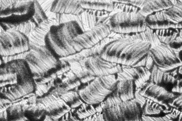 Gray translucent brush strokes