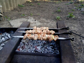 Pork shashlik grilled on charcoal in the country