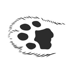 cat's paw with the pads pulled up sketch vector graphics black and white drawing, cat's paw vector sketch illustration © Elala 9161