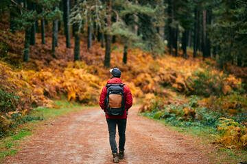 Obraz premium A hiker in a red coat and brown backpack walking on a mountain path in spring or autumn. Mountain and trekking. Adventure, Art, Travel