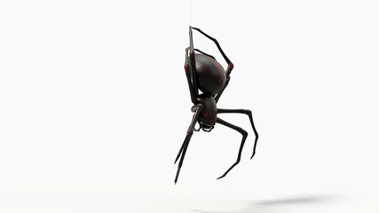 hanging black spider. with red skin details. suitable for horror, halloween, arachnid and insect themes. 3d illustration with white background.