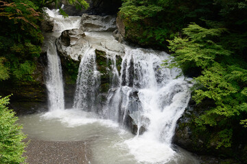 徳島県大轟の滝