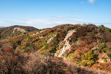 Fototapeta na wymiar 紅葉に色づく鈴鹿山脈、釈迦ヶ岳から竜ヶ岳の尾根道を歩いて