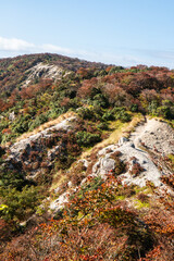 紅葉に色づく鈴鹿山脈、釈迦ヶ岳から竜ヶ岳の尾根道を歩いて