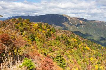 鈴鹿セブンマウンテン釈迦ヶ岳山麓で色づく紅葉