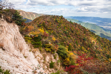 鈴鹿セブンマウンテン釈迦ヶ岳山麓で色づく紅葉