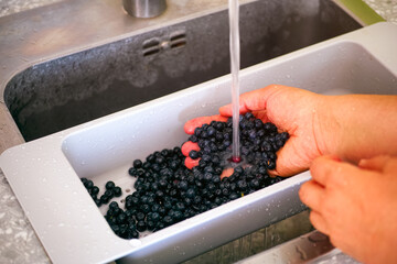 Person washing blueberries in kitchen sink