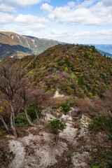 鈴鹿セブンマウンテン釈迦ヶ岳山麓で色づく紅葉