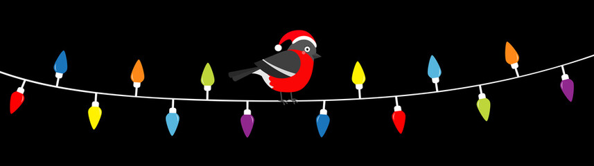 Bullfinch bird in red Santa hat. Lightbulb glowing garland. Christmas lights. Colorful string fairy light set. Cone shape. Holiday festive xmas decoration. Flat design. Black background.