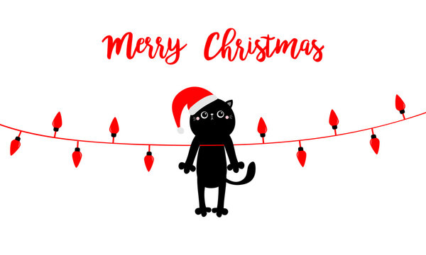 Cute cat in red Santa hat. Christmas lights. Red lightbulb glowing garland. Colorful string fairy light set. Cone shape. Holiday festive xmas decoration. Flat design. White background.
