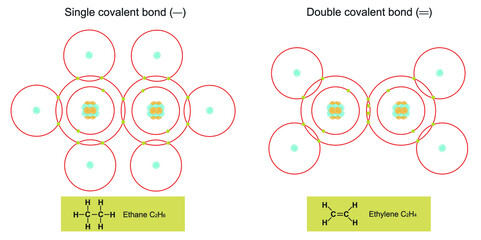 Single and double covalent bonds 