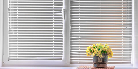 window with white blinds and flower pot on windowsill at home