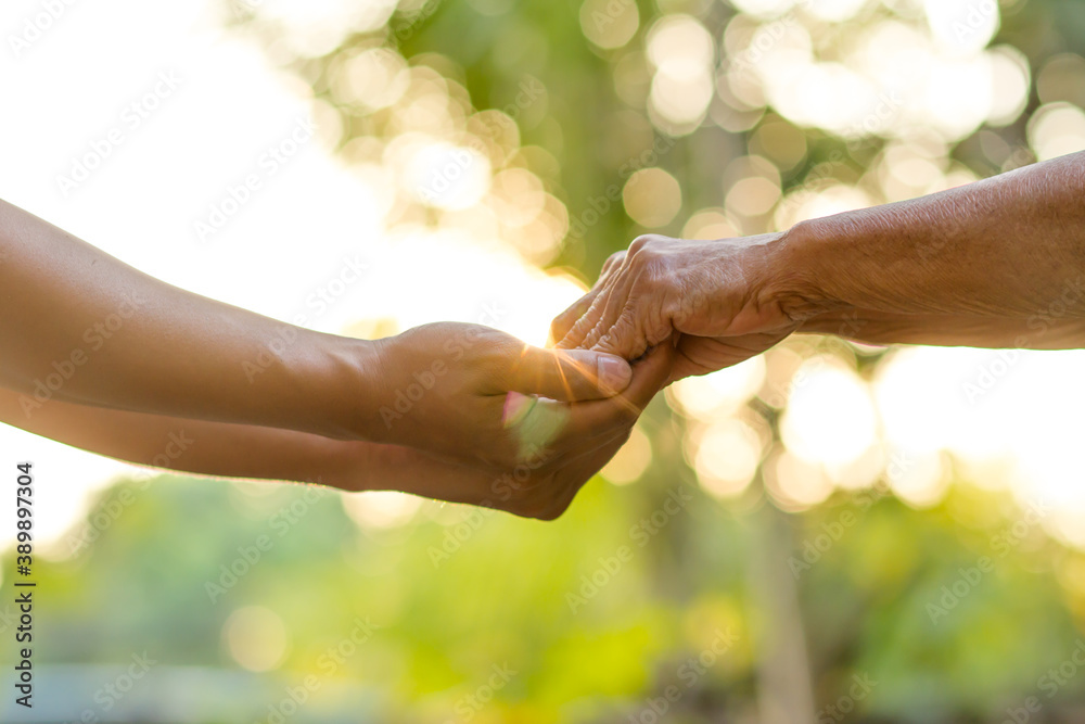 Wall mural close up of young man holding hands of senior woman with care. help family, retirement life and elde