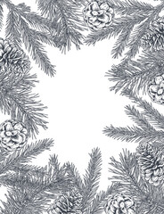 Vector template for Christmas greeting card or invitation with hand drawn winter plants, spruce branches, pine cones.