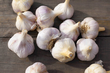 Garlic. Fresh garlics in wooden basket.