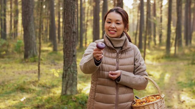 picking season, leisure and people concept - young asian woman with basket showing mushroom in autumn forest