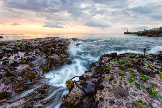 Wide angle vertical view of the rocks outside Kalkbay harbour that is covered in kelp and seagrass in Cape Town in the Western Cape of South Africa