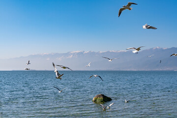 Fototapeta na wymiar The view of Erhai lake near Dali in Yunnan province in China