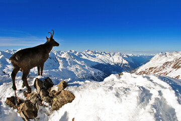Obraz premium Hochgurgel, Austrian Tyrol, Austria