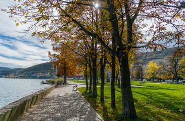 The beauty of autumn. Walk in the park