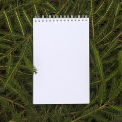 Christmas, New Year's composition. Flat lay New Year's resolution notebook lies on spruce branches in frame. Place for text.