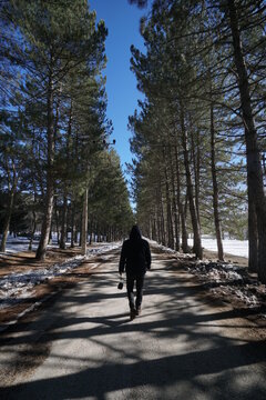 Walking man in the forest
