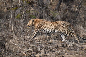 Panna National Park, Khajuraho, Waranasi
