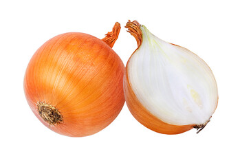 onion  isolated on white background